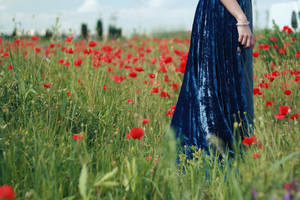 Postcard of a painting by punkshits