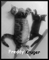 Freddy and Kruger by michielynn