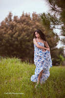 Everest by cocobi-lens