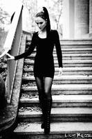 leaves by LichtReize