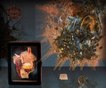 Composer's Cerebral Cortex by MANDELWERK