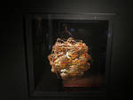Basket of bread @ Exhibition by MANDELWERK