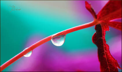 Drenched by Skinno-1