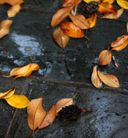 Huxlian by stmatthiesen