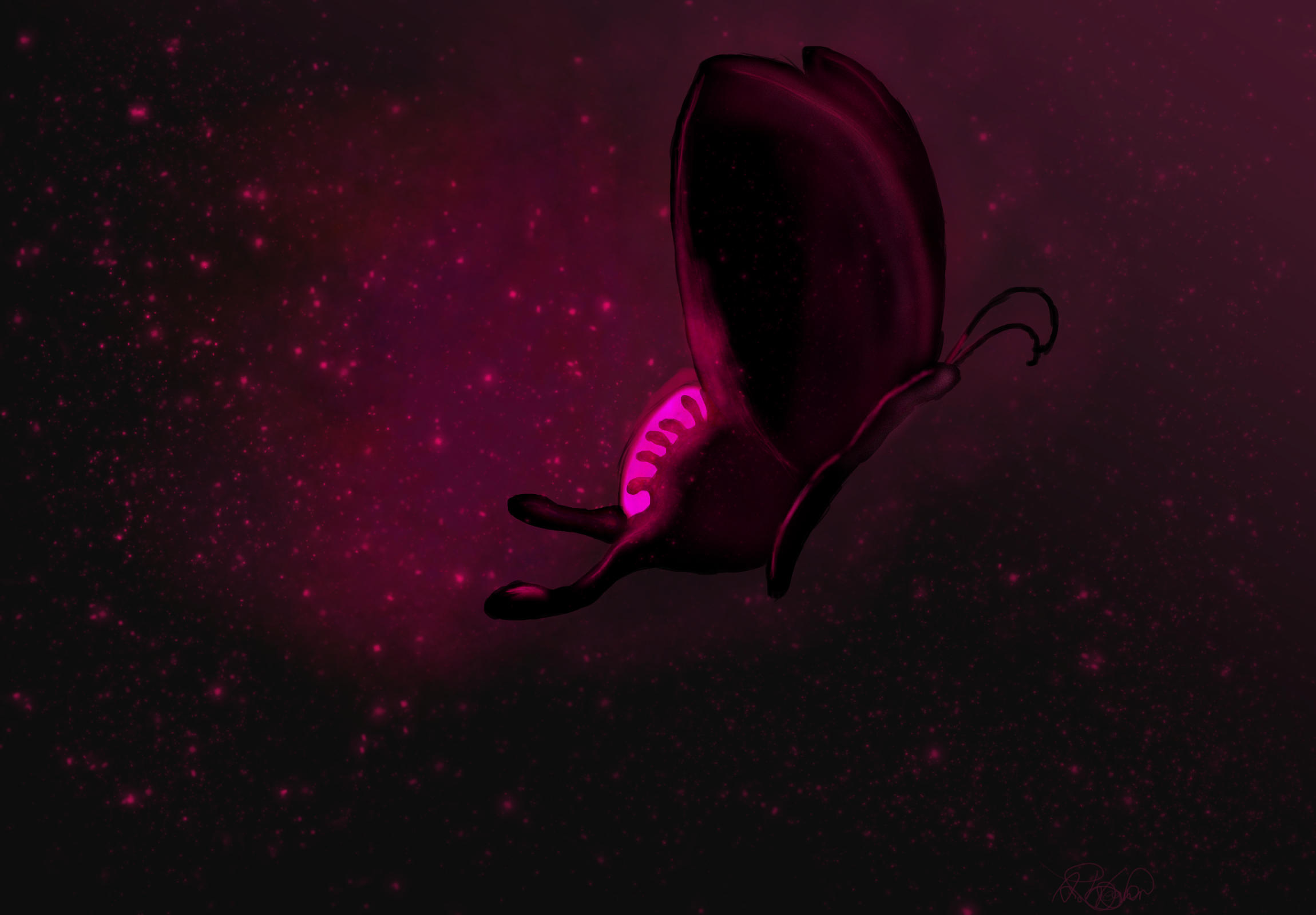 A Hell Butterfly by GillinaBeilschmitd on DeviantArt