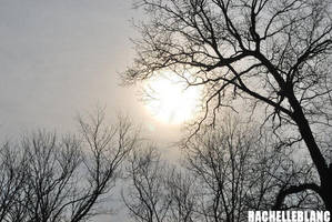 who'd of known by PyroKids