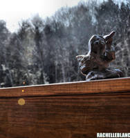 unadmirable plans by PyroKids