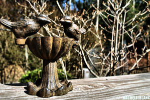 The Birds and The Bees by PyroKids