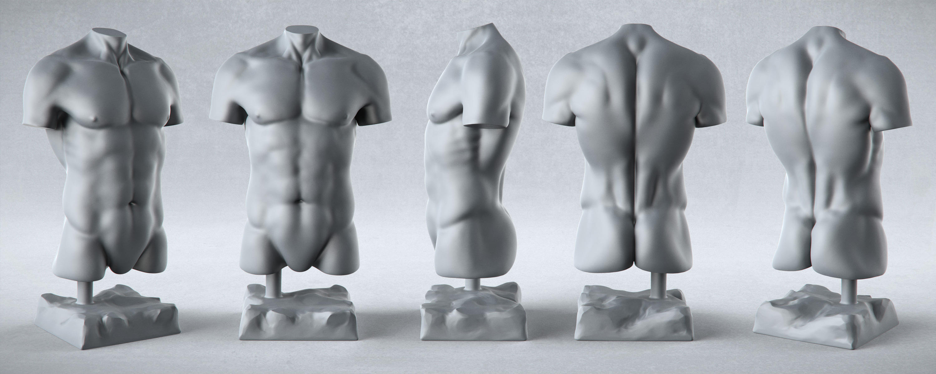 Male Anatomy Studies - Torso by PixelPirate