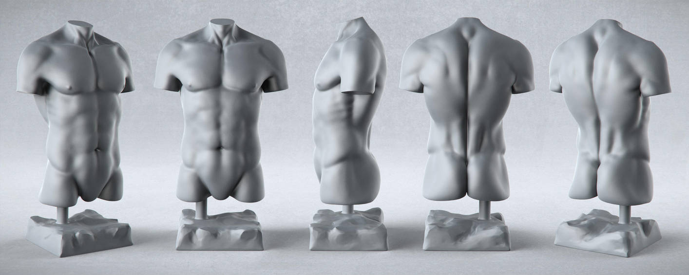 Male Anatomy Studies - Torso by PixelPirate