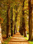Memory Lane by Lilleninja Memory Lane by Lilleninja