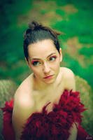 i will never dream by dionn-k