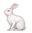 Bunny Rabbit Emoji