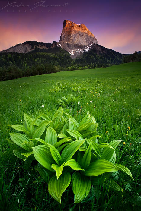 Alpenglow over Mount Aiguille by XavierJamonet