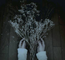 Untitled by lovelycloudyday