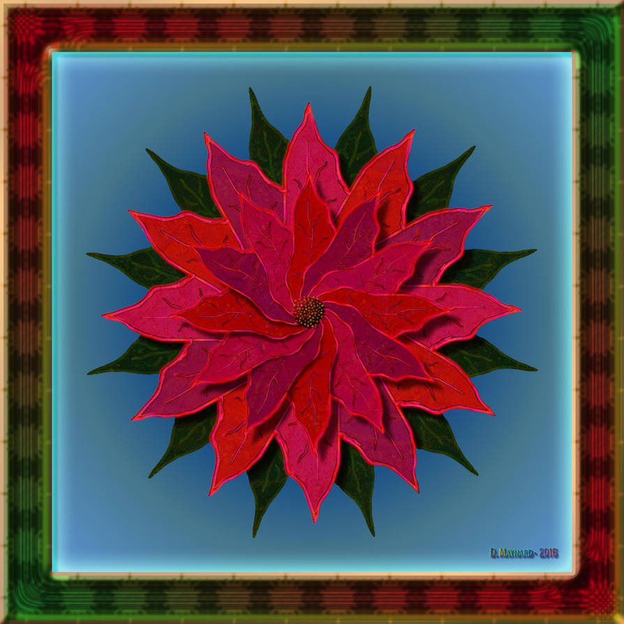 20161202-Poinsettia-P001-v9 by quasihedron