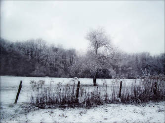Hivernal by PoussiereObsidienne