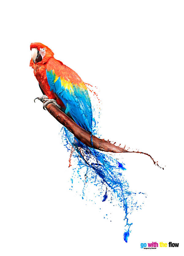 liquid color by CHIN2OFF