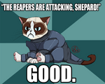 Commander Grumpy by Dezfezable