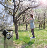 Spring is around you by Holunder