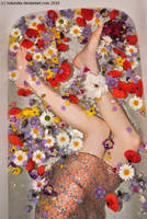 Morgentau by Holunder