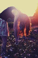 I need this by Holunder