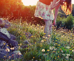 many times i think of you by Holunder