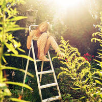 this is the life by Holunder