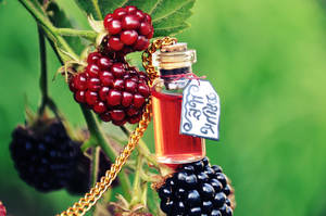 Drink me by Holunder