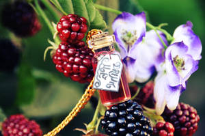 Drink me II by Holunder