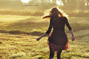 golden day by Holunder