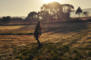 glittering gras by Holunder