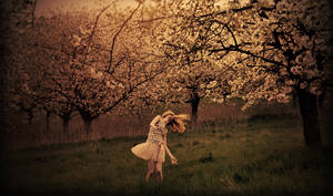 twilight by Holunder