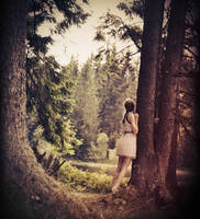 Comes and goes by Holunder