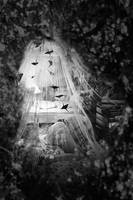 My Secret Dwelling by Holunder