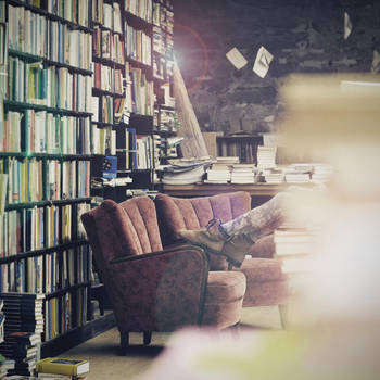 Alone by Holunder