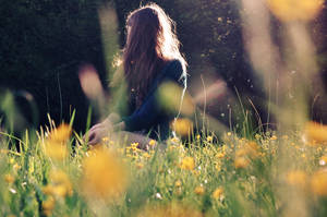 Where fairys dance by Holunder