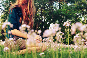 In the mood for spring by Holunder