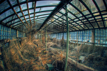 Greenhouse effect by Brute-ua
