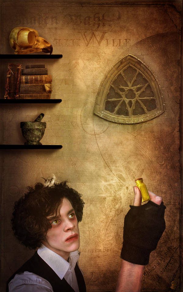 The alchemist by liebeSuse