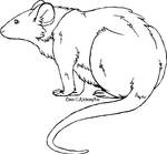 Rat Lineart by AlchemyFox