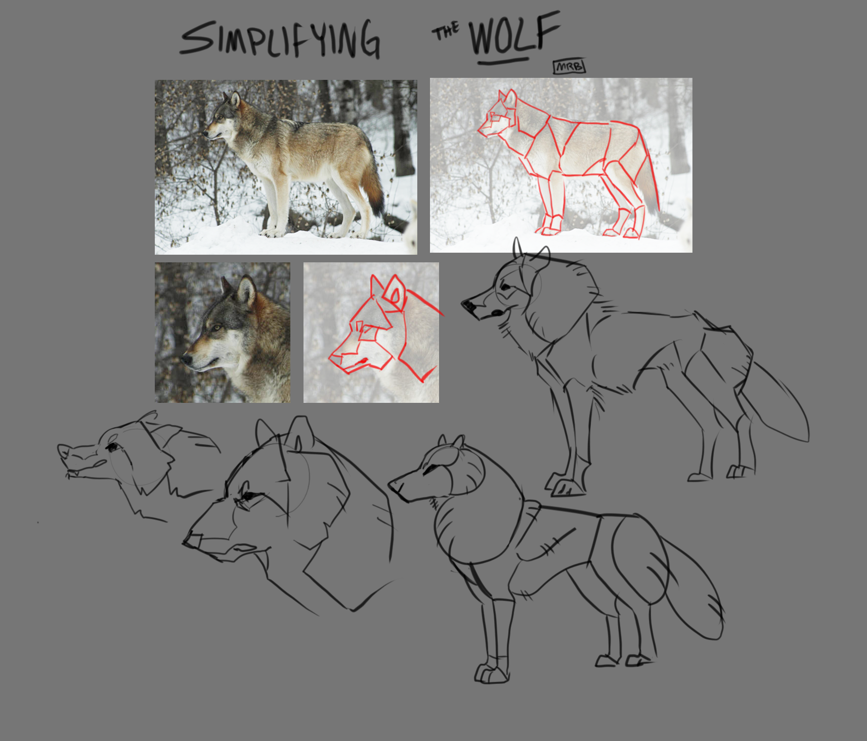 Simplifying The Wolf by saltwaterhermit