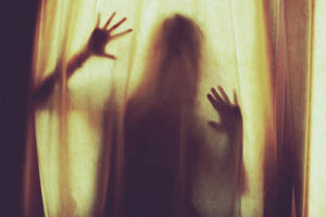 behind the curtain II by nikolinelr