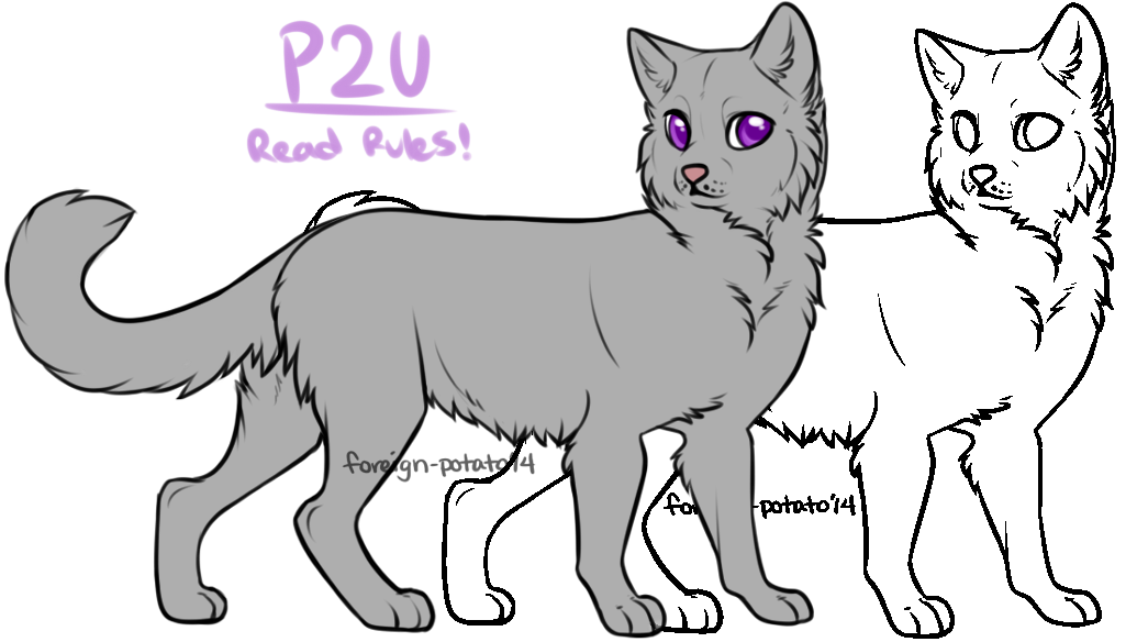 Warrior Cat Lines: Warrior by foreign-potato on DeviantArt
