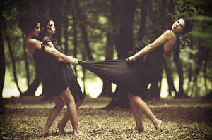 until we bleed by Sssssergiu