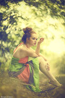 would i lie to you? by Sssssergiu