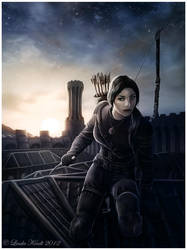 The Assassin by Isriana