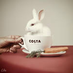 How About Carrots Instead? by Eibography