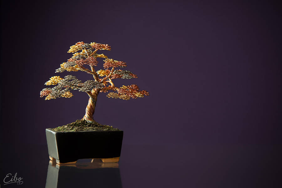 Bonsai 2 by Eibography