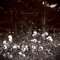 Last Summer by kurosakii